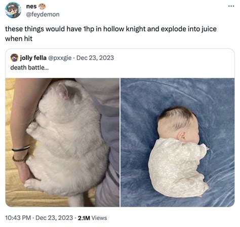 Fat Chinese Baby | Fat Chinese Baby | Know Your Meme