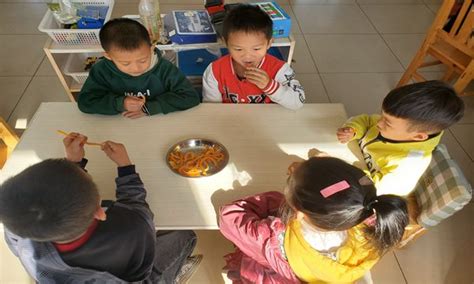 焦溪幼：红薯大变身-幼教 - 常州市天宁区教师发展中心