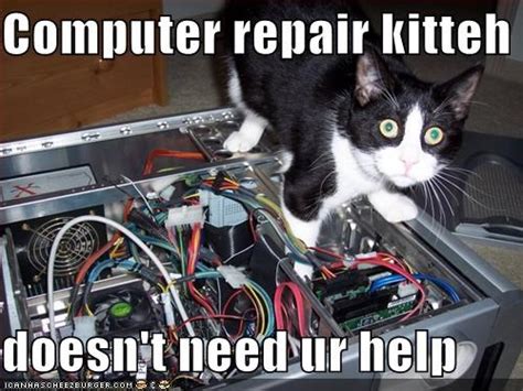 Image result for Cat Fixing Computer