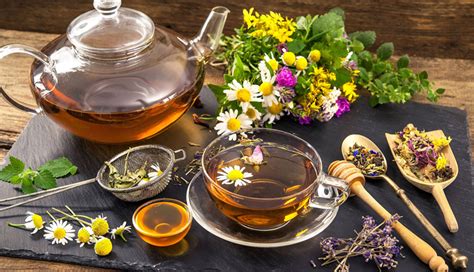 7 Natural Remedies for Nausea Relief - lifeberrys.com