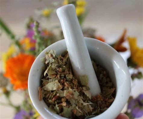 Herb Medicine 的图像结果