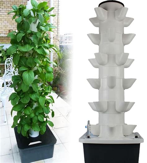 Buy FXNFXLA Hydroponic Growing System for Indoor s, Fruits, And ...