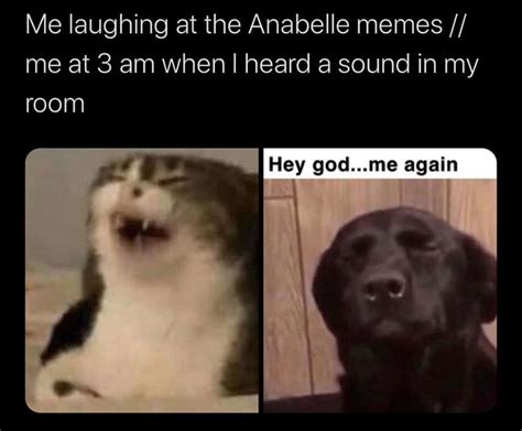 Rumours of ‘Haunted’ Annabelle Doll escaping from Warren Museum go ...