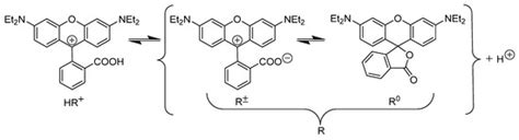 Stability of Rhodamine Lactone Cycle in Solutions: Chain–Ring ...