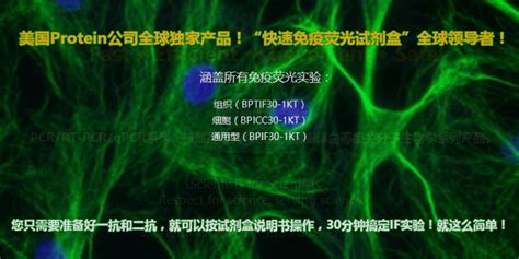 Protein Biotechnologies-Protein-111
