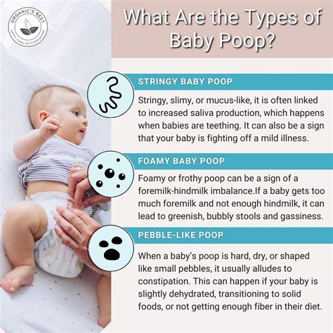 The Essential Guide to Baby Poop: Colors, Textures, Meanings