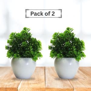 Veevate Pack of 2 Decorative Green Shrub Bonsai Artificial Plant with ...