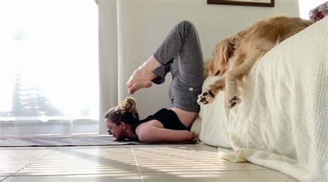 Image result for Chest Stand Tutorial