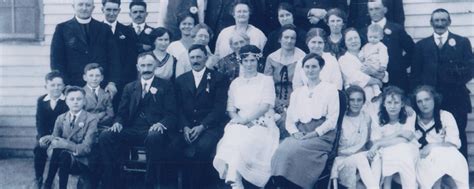 Image result for Basque Language Family Tree