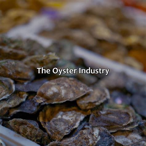 What Color Is Oyster - colorscombo.com