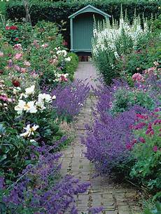 Best Plants For Cottage Garden by Best Shrubs For Lasting Loveliness Best Plants For Cottage Garden
