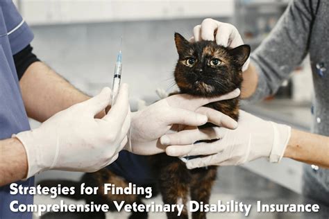Finding Comprehensive Veterinary Disability Insurance