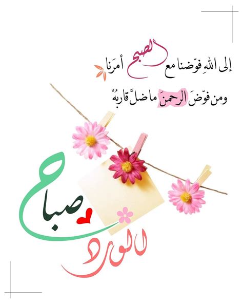 Pin by Haider Toman on My Saves | Good morning flowers quotes, Good ...