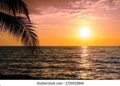 Image result for Sunset Climb O2