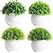 Buy Dekorly Greenery Artificial Mini Bonsai Plants Artificial Plants ...