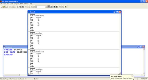 Visual Fox Database 的图像结果