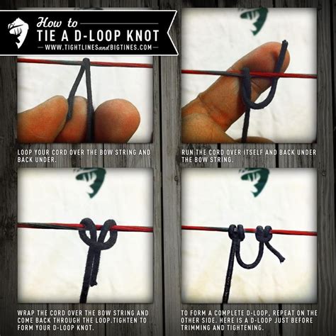 Bow String D-loop 的图像结果