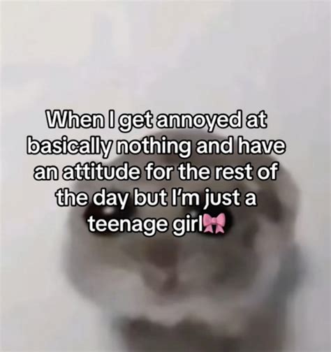 'I'm Just A Girl' Meme: Origins And Examples