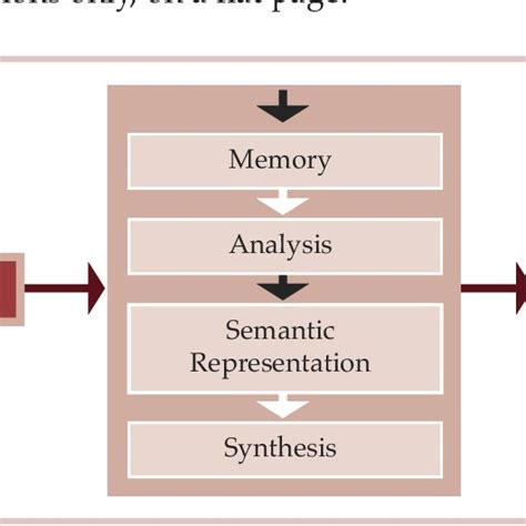 Image result for Post Translation Process Animation