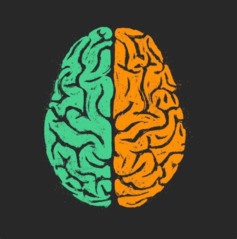 Image result for Brain Network Python