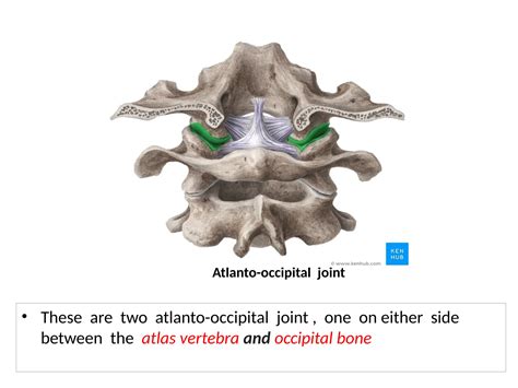ATLANTO-OCCIPITAL__JOINT.pptfor medical studentsx | PPTX
