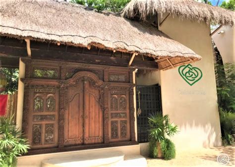 6 Day Ayahuasca Retreat - Tulum, MX, Cachito De Cielo, Tulum MX, 31 ...