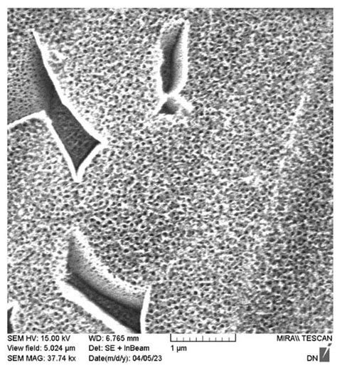 Preparation, Characterization and Electrochemical Response of ...