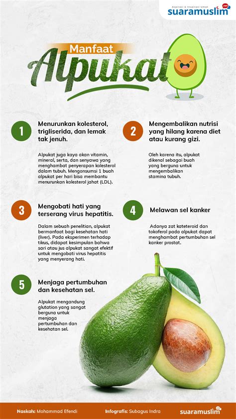 manfaat alpukat untuk anak usia 2 tahun