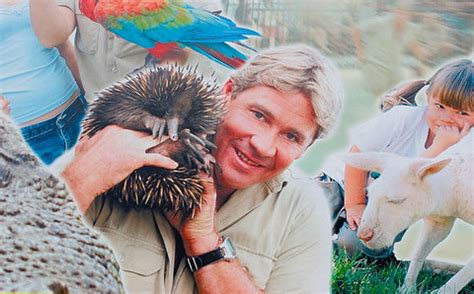 Steve Irwin – Wild Instinct
