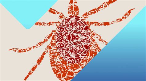 Image result for Rootkit Attack