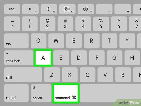 Image result for How to Copy Base Code to Website