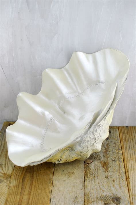 Large Clam Shell Bowl | Save on crafts, Shells, Coastal decor