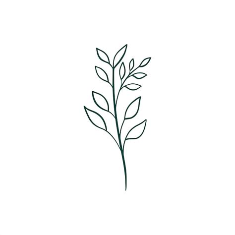 Plant outline Images - Free Download on Freepik