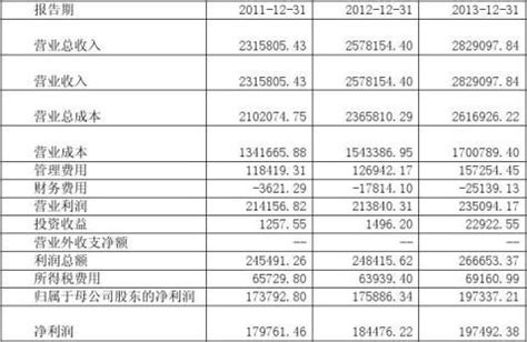 青岛啤酒股份有限公司财务报表分析开题报告 - 范文118