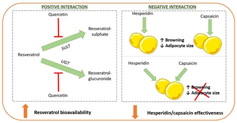 Variability in the Beneficial Effects of Phenolic Compounds: A Review