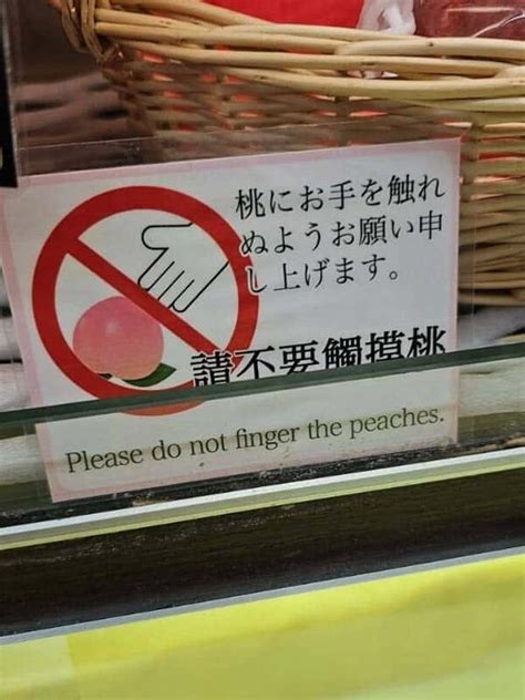 Image result for Translation Fails Compilation