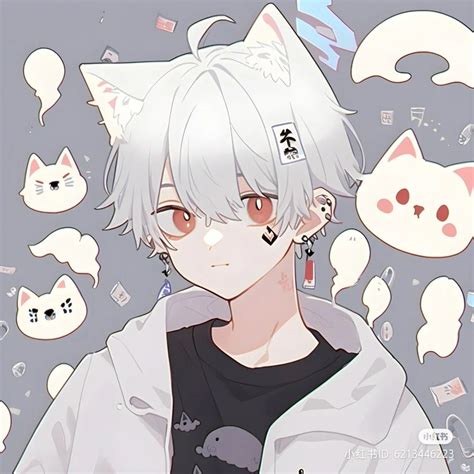 Anime Boy | Cute anime cat, Anime cat boy, Anime boy