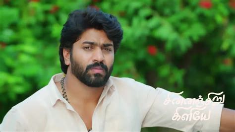 Chinnan Siru Kiliye TV Serial Online - Watch Latest Show Episodes on ZEE5