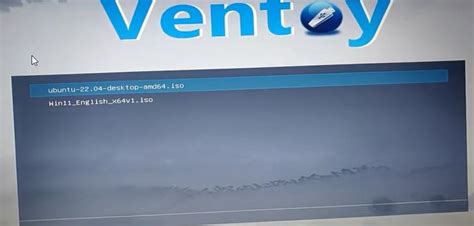 Image result for Multiple Boot USB