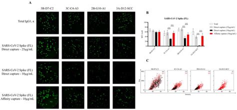 Affinity Tag Coating Enables Reliable Detection of Antigen-Specific B ...