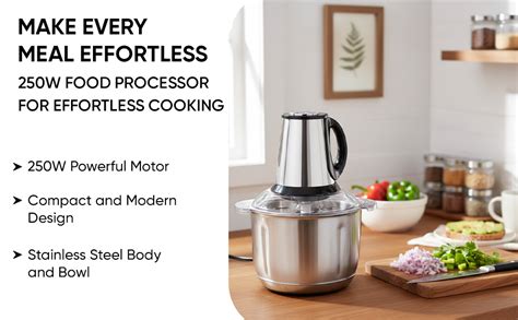 Buy GSEL Enterprises Electric Meat Chopper - 250W Food Processor with ...