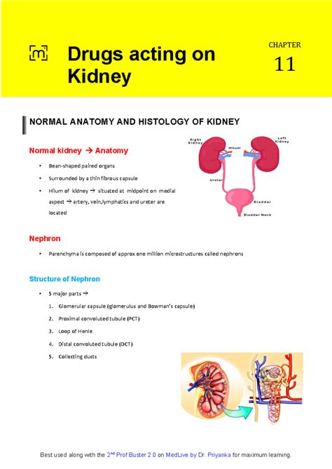 Chapter 11: Pharmacology of Drugs Acting on the Kidney - Studocu