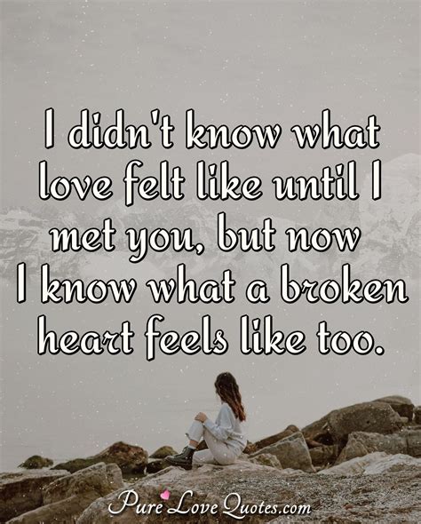 21 Broken Heart Quotes (You Broke My Heart) | PureLoveQuotes