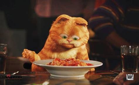 加菲猫第3季-动漫-高清视频在线观看-搜狐视频