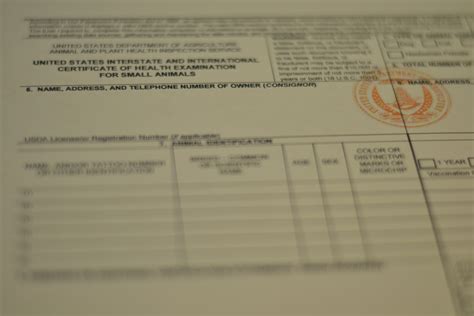 What Is A Pet Travel Certificate at Joseph Park blog