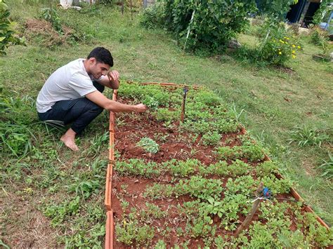 Maya Farming Raised Bed
