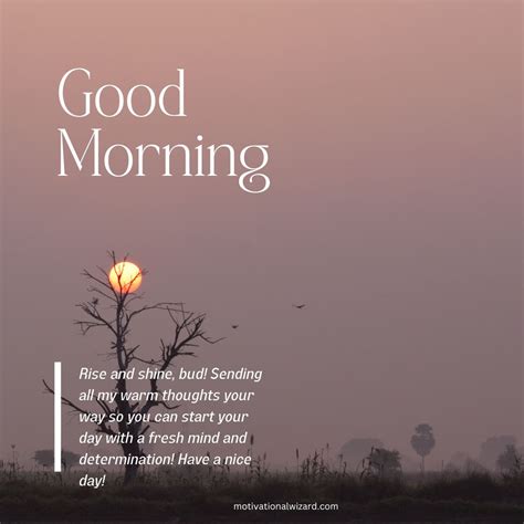 400 Beautiful Good Morning Quotes | Messages | Wishes | Images