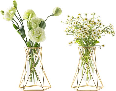 Buy Lavish Craft 2 Pcs Gold Geometric Vase,Air Plant Stand,Hydroponic ...