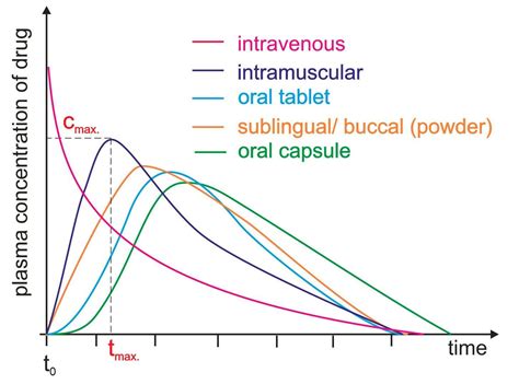How to Conduct a Bioavailability Assessment? - Creative Bioarray ...