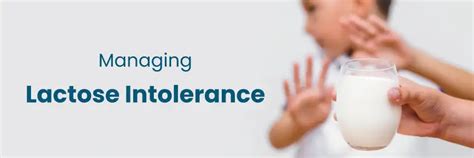 Tratamiento avanzado de la intolerancia a la lactosa en Begumpet